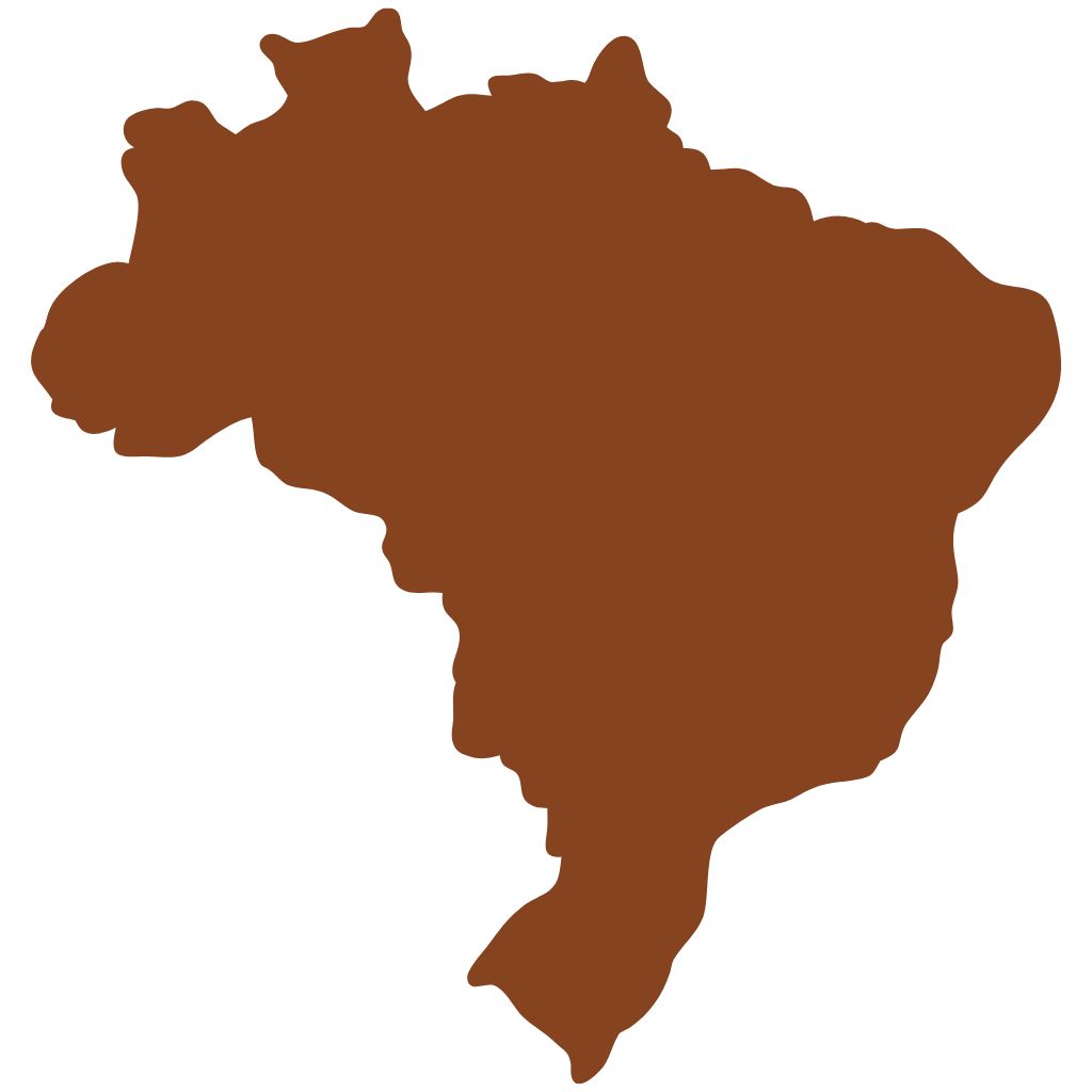 brasil icone (1)